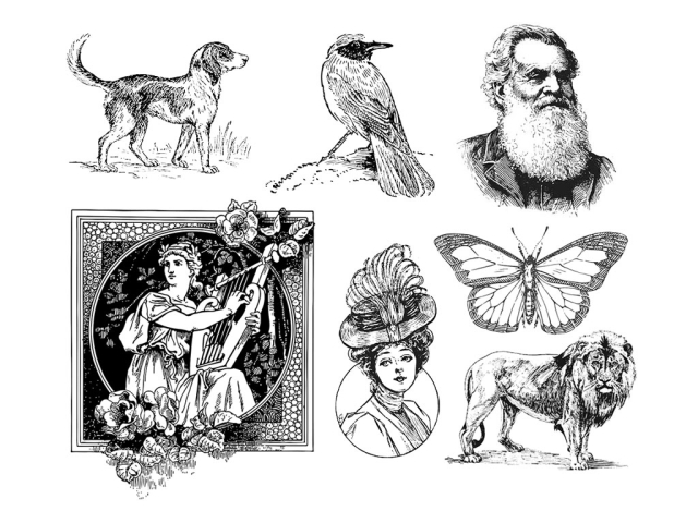 免費 2D/3D 激光蝕刻機的激光雕刻矢量文件 免費 2D/3D 激光蝕刻機的激光雕刻矢量文件